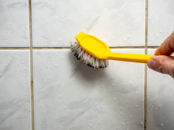 Best Mold Removal Company Near Me  in La Quinta, CA