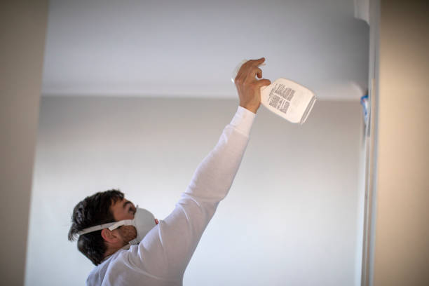 Best Mold Removal Company Near Me  in La Quinta, CA