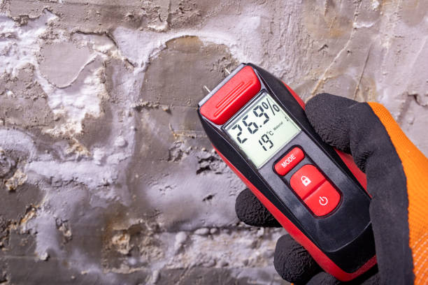 Best Local Mold Removal Service  in La Quinta, CA