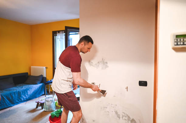 Best Mold Damage Repair  in La Quinta, CA